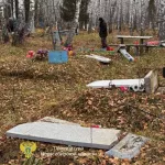 Стали известны подробности погрома на кладбище под Новосибирском, устроенного детьми