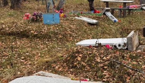 Стали известны подробности погрома на кладбище под Новосибирском, устроенного детьми