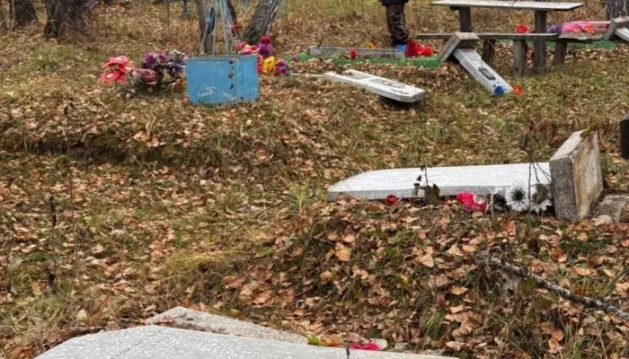 Снесли 80 памятников: дети 7-9 лет устроили погром на кладбище Новосибирской области