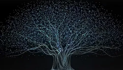 В Китае устроили гигантское световое шоу с 15 тысячами дронов. Видео