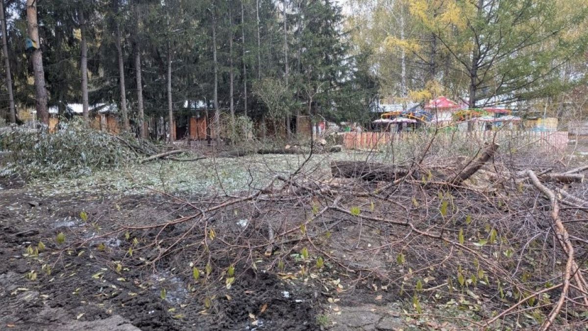 Снос деревьев в парке "Лесная сказка"