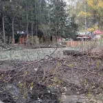 Директор Лесной сказки в Барнауле объяснил вызывающую вопросы вырубку деревьев