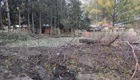 Директор Лесной сказки в Барнауле объяснил вызывающую вопросы вырубку деревьев