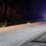 Пьяный водитель устроил ДТП в Республике Алтай: три человека пострадали