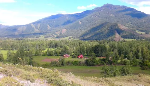 Семейную усадьбу с собственной сыроварней продают за 65 млн руб. в Горном Алтае. Фото