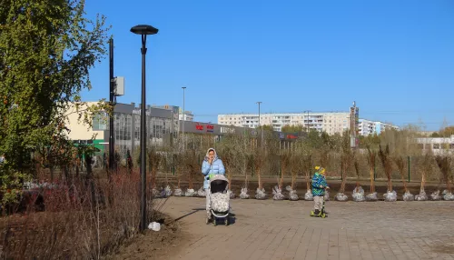 Живое место: как жуткий пустырь за Европой стал самым молодым парком в Барнауле. Фото