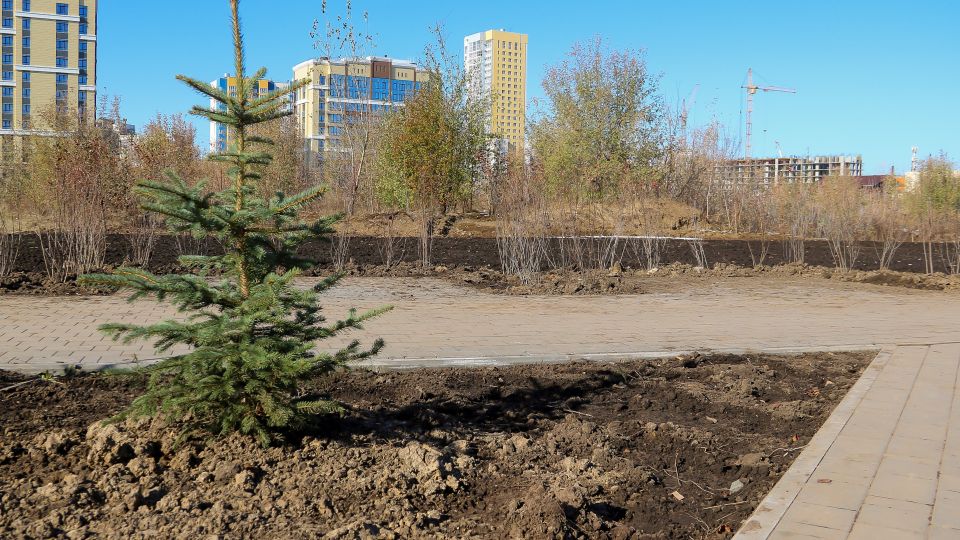 Финал благоустройства парка на улице Шумакова, 9 в Барнауле. Октябрь 2025 года