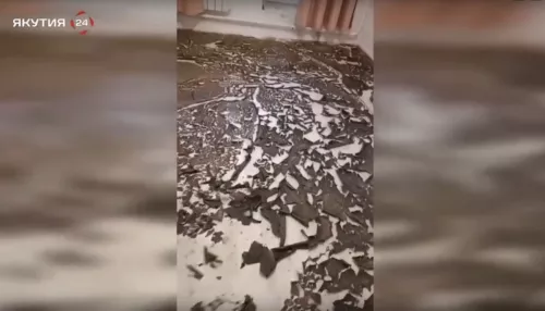 Россиянке выдали квартиру, покрытую засохшими фекалиями. Видео