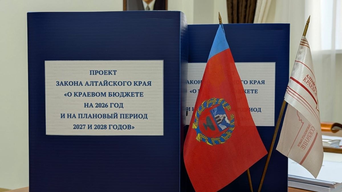 Бюджет Алтайского края на 2026 год