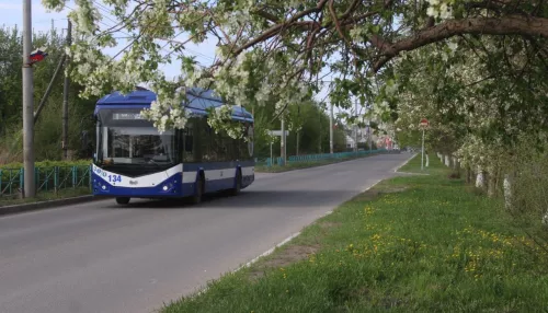 Семь лет прогресса в Рубцовске: как безналичная оплата изменила городской транспорт