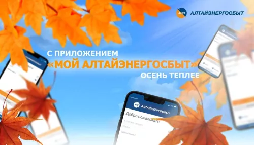 Алтайэнергосбыт: пришло время передать показания счётчика