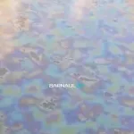 На воде Барнаулки заметили пленку и радужные разводы