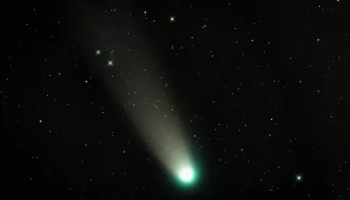 Самую яркую комету года запечатлели над Алтайским заповедником. Фото