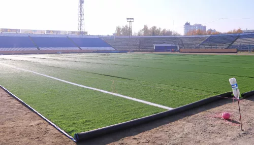 На стадионе Динамо в Барнауле укладывают новое покрытие футбольного поля. Фото