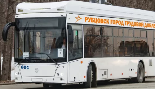 Пять новых троллейбусов за 117 млн рублей получит Рубцовск