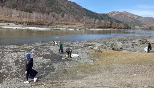 Более 100 километров берегов в Республике Алтай избавили от мусора эковолонтеры