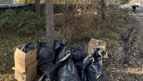 Срам и только. Барнаульскую Рублевку нужно отчищать от многолетних залежей мусора