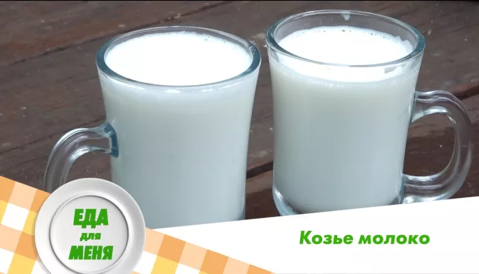 Еда для меня: чем козье молоко отличается от коровьего