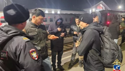 Упрямую нелегальную мигрантку принудительно вышлют из Алтайского края на родину