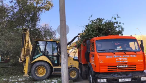 Барнаульцы вооружились граблями и вышли на очередной чистый четверг. Фото