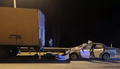 Жесткое ДТП с грузовиком унесло три жизни в Новосибирской области