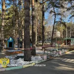 Детей едва не убило упавшей сосной в детсаду Новосибирска