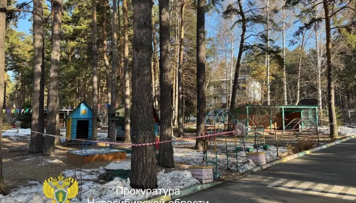 Детей едва не убило упавшей сосной в детсаду Новосибирска Детей едва не убило упавшей сосной в детсаду Новосибирска