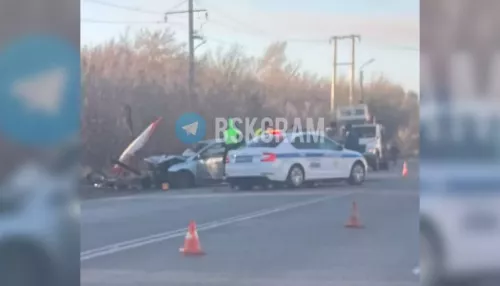 Две пассажирки Ford Focus погибли после столкновения с электроопорой в Бийске