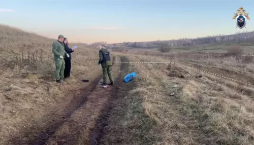 Собаки загрызли 10-летнего мальчика в Красноярском крае