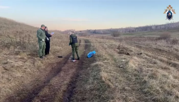 Собаки загрызли 10-летнего мальчика в Красноярском крае Собаки загрызли 10-летнего мальчика в Красноярском крае