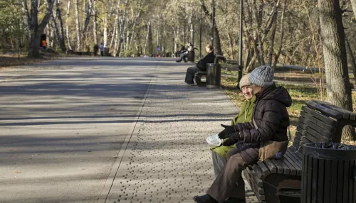 В начале недели в Алтайском крае потеплеет до +16 градусов: прогноз погоды