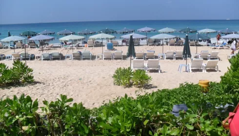 В Таиланде объявили траур на год: что это означает для туристов