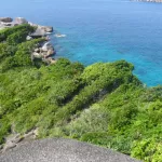 Россияне спасают новосибирца, разбившегося в тяжелой аварии в Таиланде