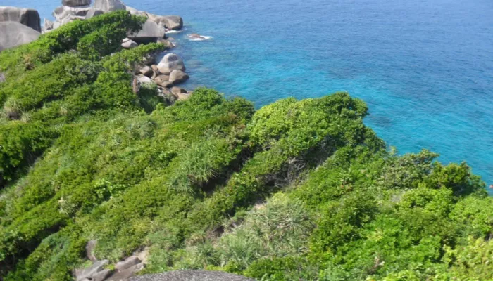 Россияне спасают новосибирца, разбившегося в тяжелой аварии в Таиланде