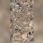 В Сайлюгемском нацпарке показали козерогов на крутых горных уступах. Видео