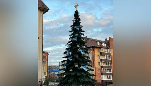 Новогодняя елка появилась в Горно-Алтайске в конце октября
