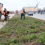 В Барнауле сажают деревья и готовят цветники к зиме. Фото