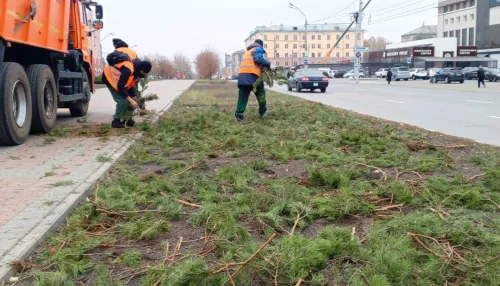 В Барнауле сажают деревья и готовят цветники к зиме. Фото