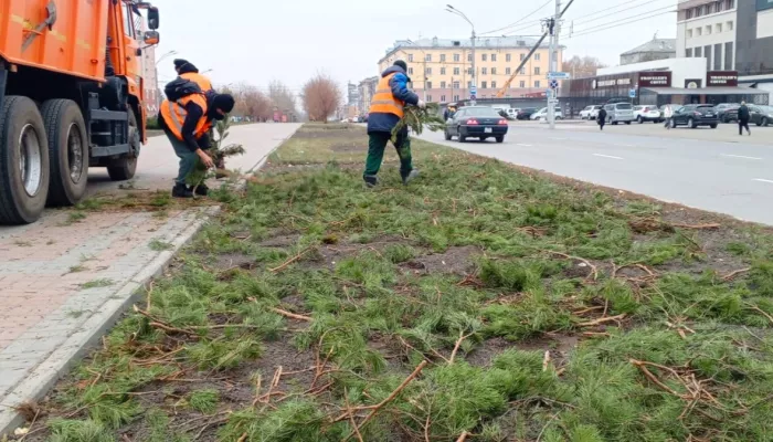 В Барнауле сажают деревья и готовят цветники к зиме. Фото В Барнауле сажают деревья и готовят цветники к зиме. Фото