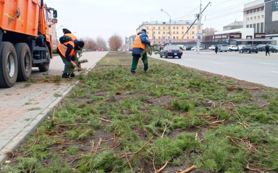 В Барнауле сажают деревья и готовят цветники к зиме. Фото