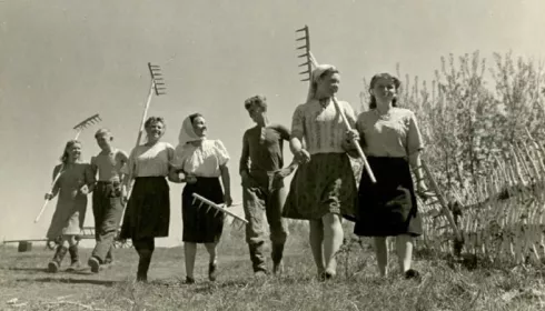 Тяжелый труд и искренняя радость: как жили алтайские колхозники в советские годы. Фото