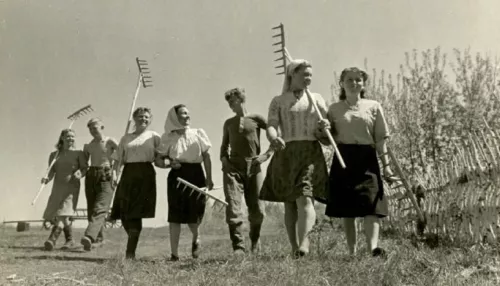 Тяжелый труд и искренняя радость: как жили алтайские колхозники в советские годы. Фото