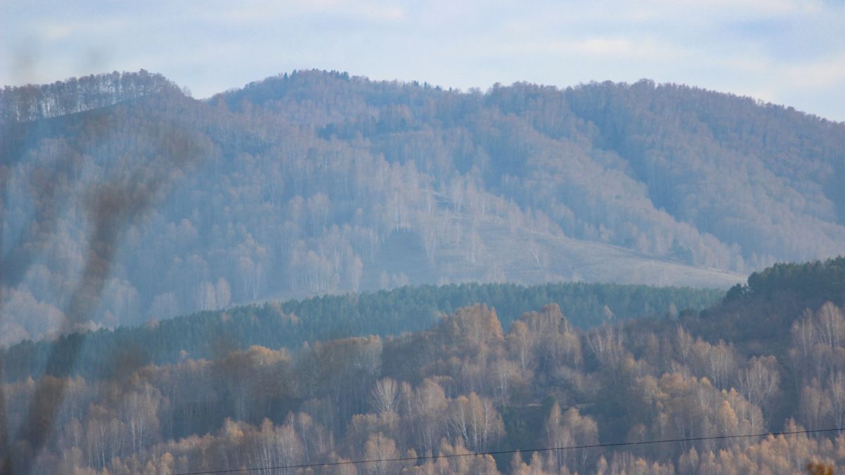 Вид на горы Белокурихи