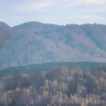 Мэрия Белокурихи выиграла суд с арендатором земли под будущим суперсанаторием