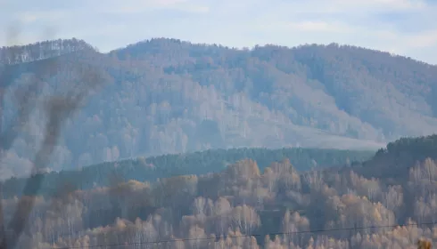 Мэрия Белокурихи выиграла суд с арендатором земли под будущим суперсанаторием