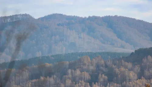 Мэрия Белокурихи выиграла суд с арендатором земли под будущим суперсанаторием