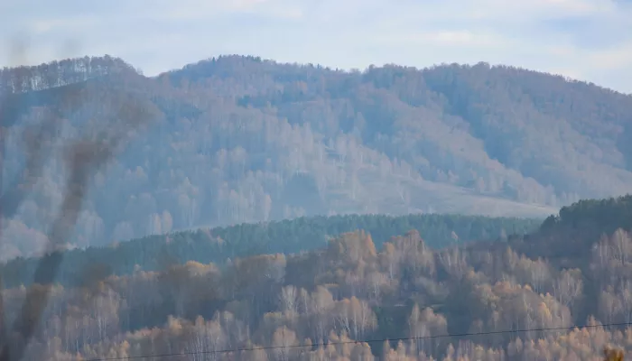 Мэрия Белокурихи выиграла суд с арендатором земли под будущим суперсанаторием