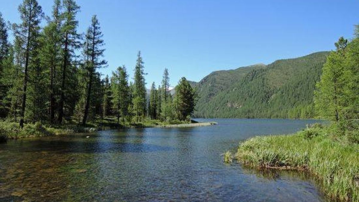 Прокуратура намерена вернуть государству земли водного фонда в Республике Алтай Река