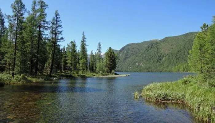 Прокуратура намерена вернуть государству земли водного фонда в Республике Алтай