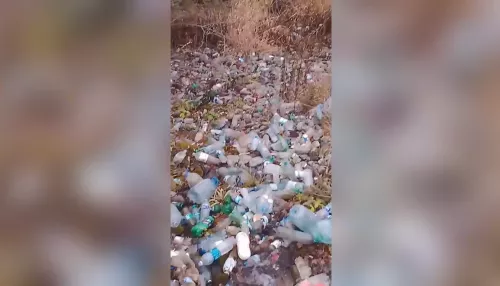 Территорию у родника Аржан-Суу в Республике Алтай завалили мусором. Видео